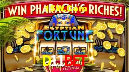 Sistemas de Segurança D11Bet